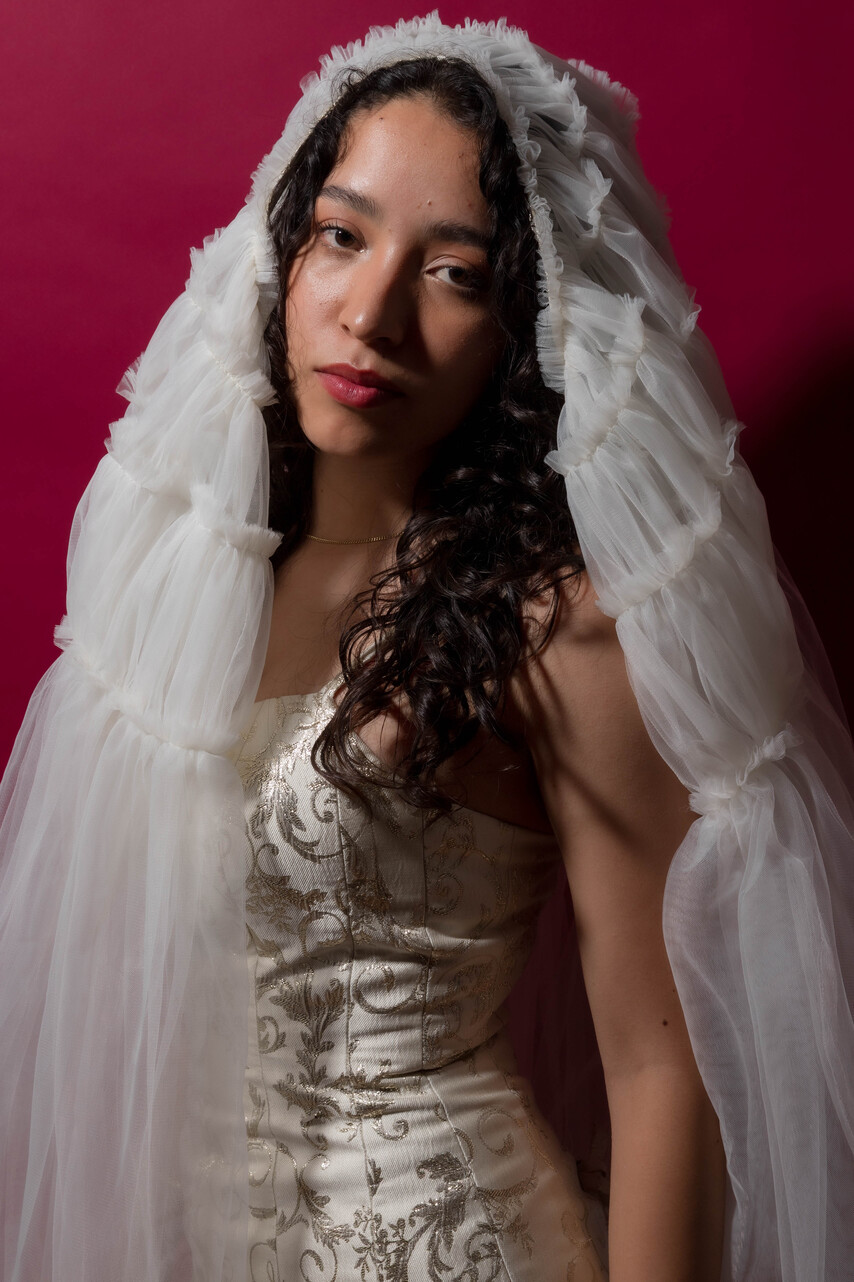 Model image