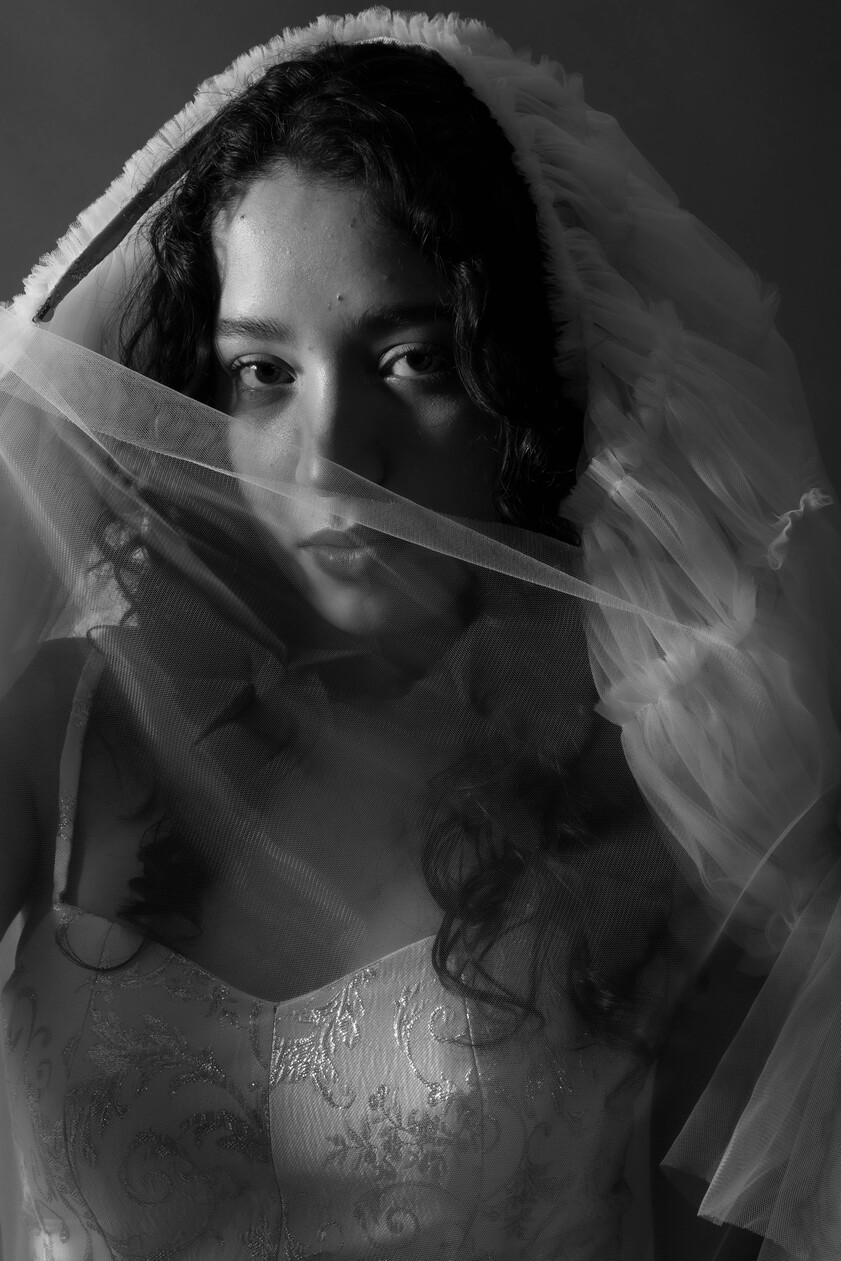 Model image