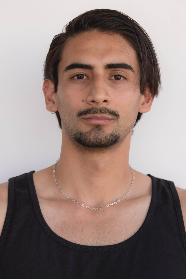 Model image