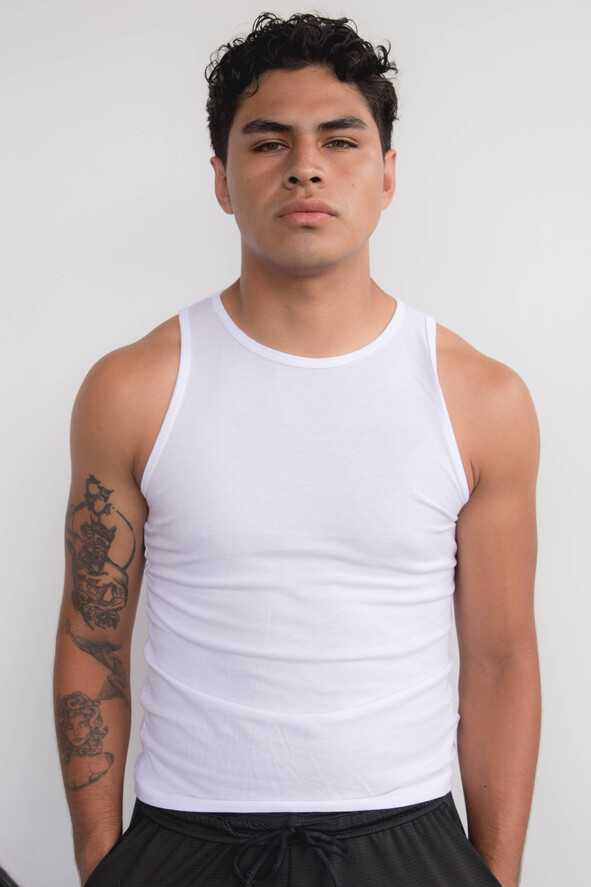 Model image