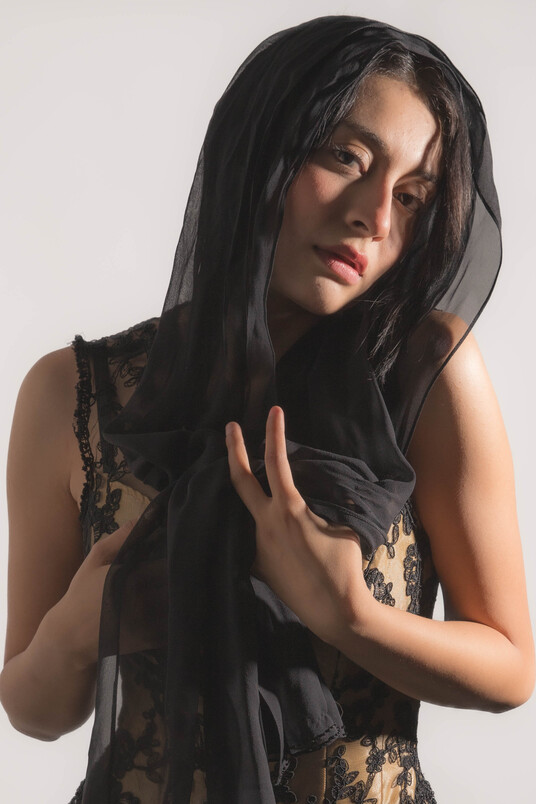 Model image