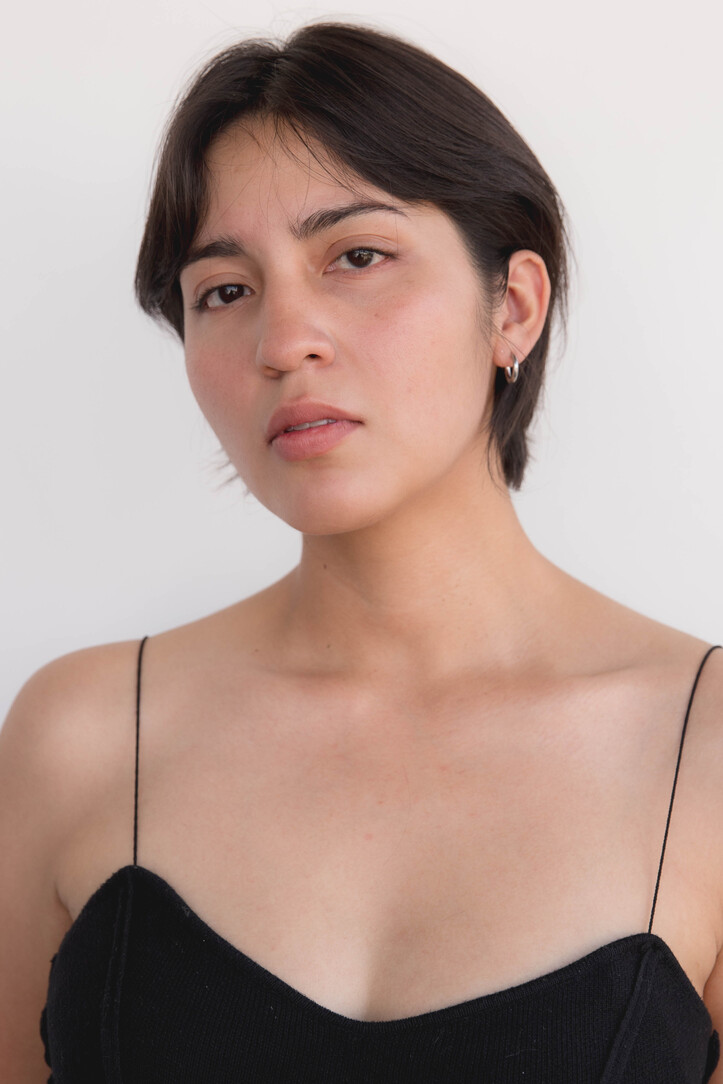 Model image