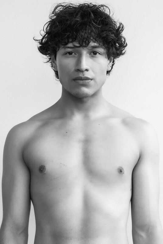 Model image