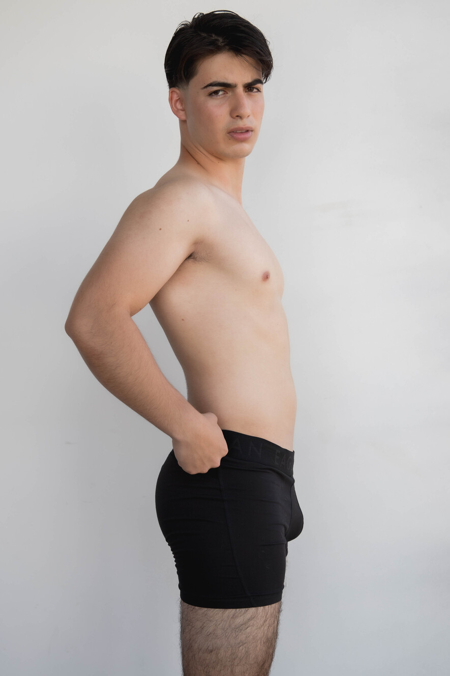 Model image