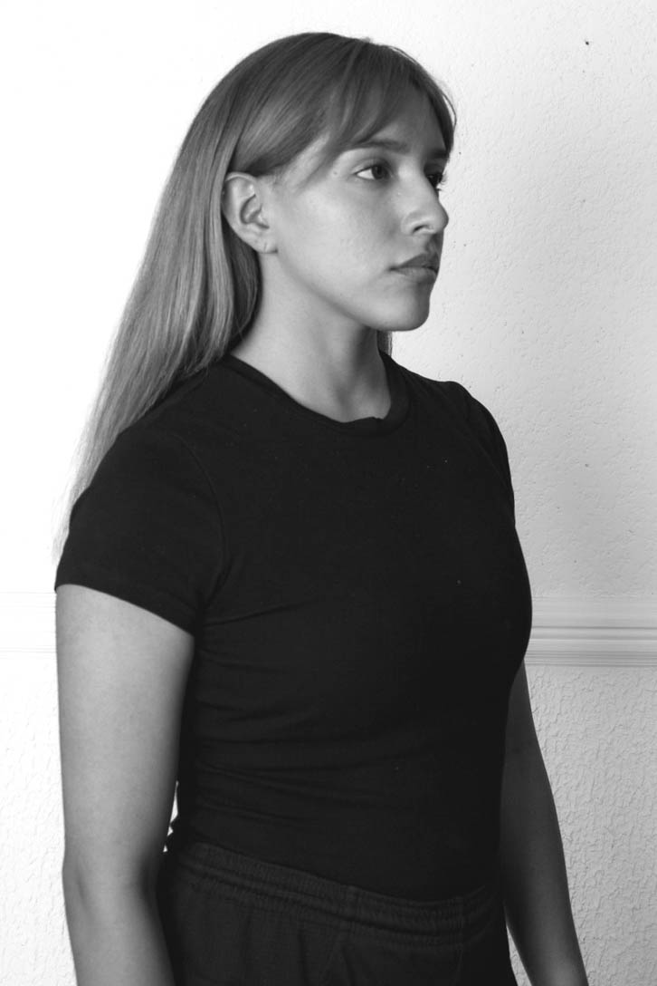 Model image